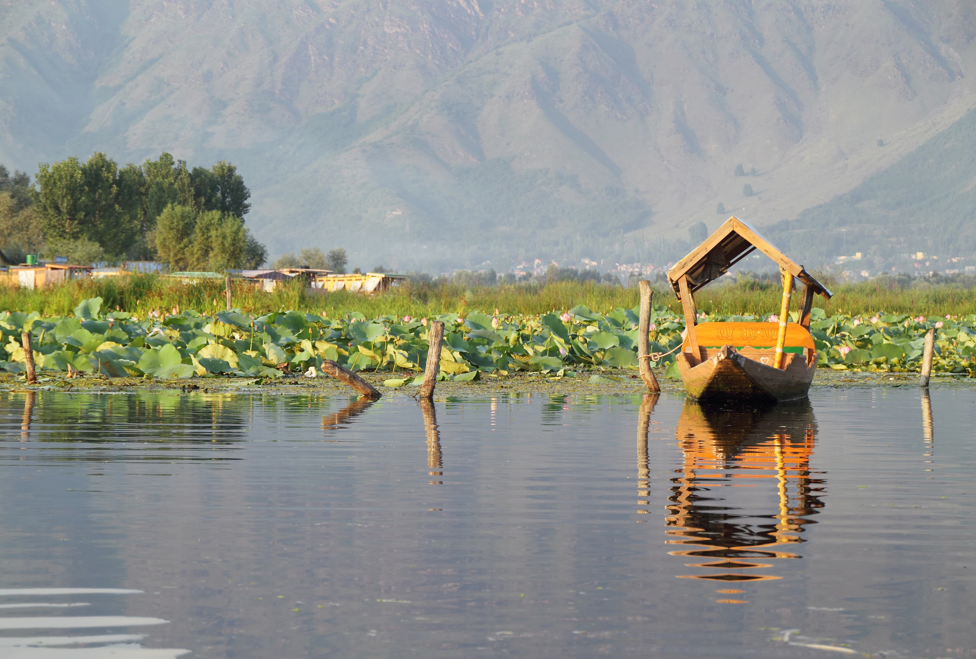 Kashmir Paradise: Srinagar, Gulmarg Gondola & Pahalgam Valley