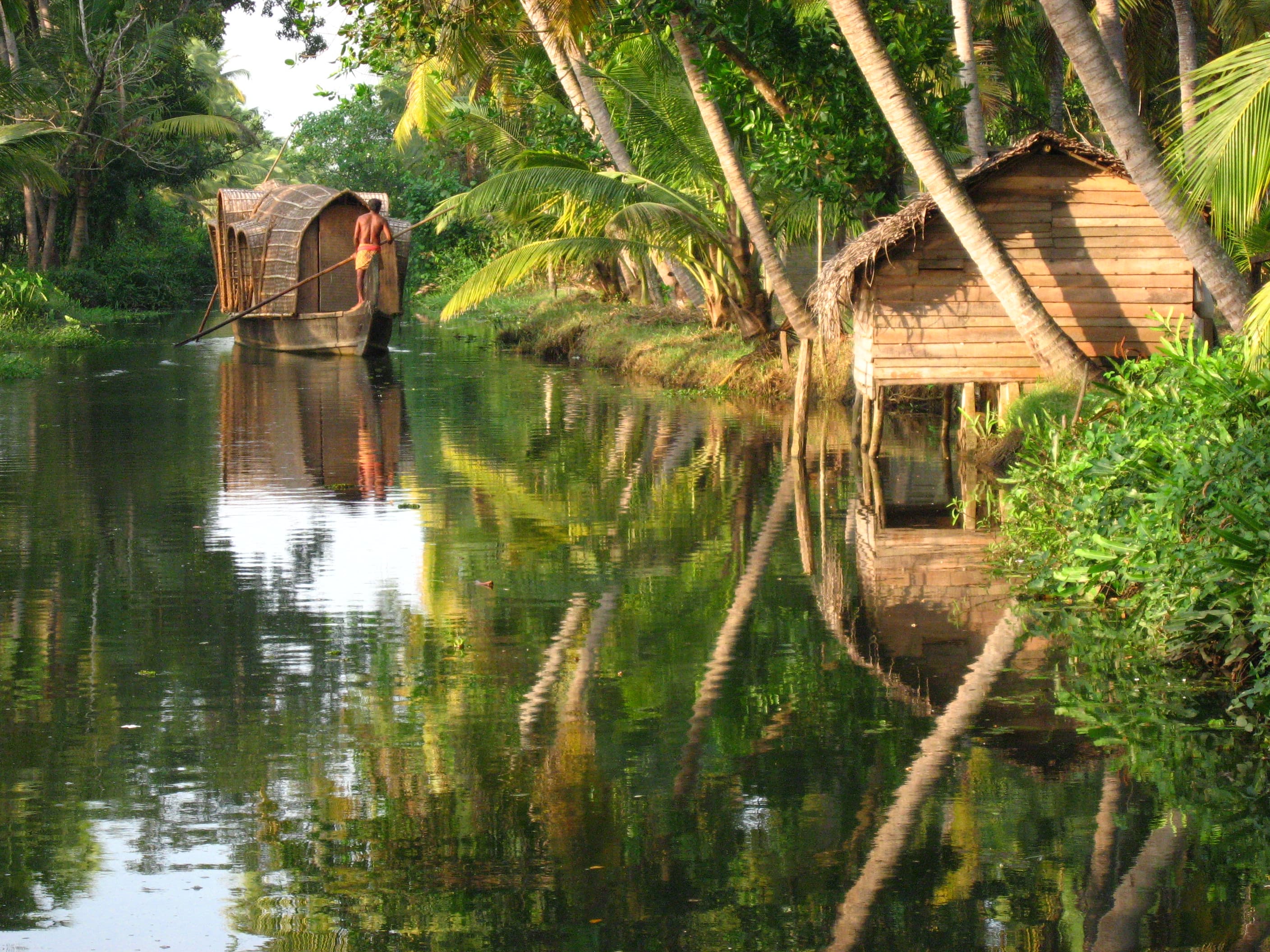 God's Own Country: Kerala Backwaters & Munnar Hills