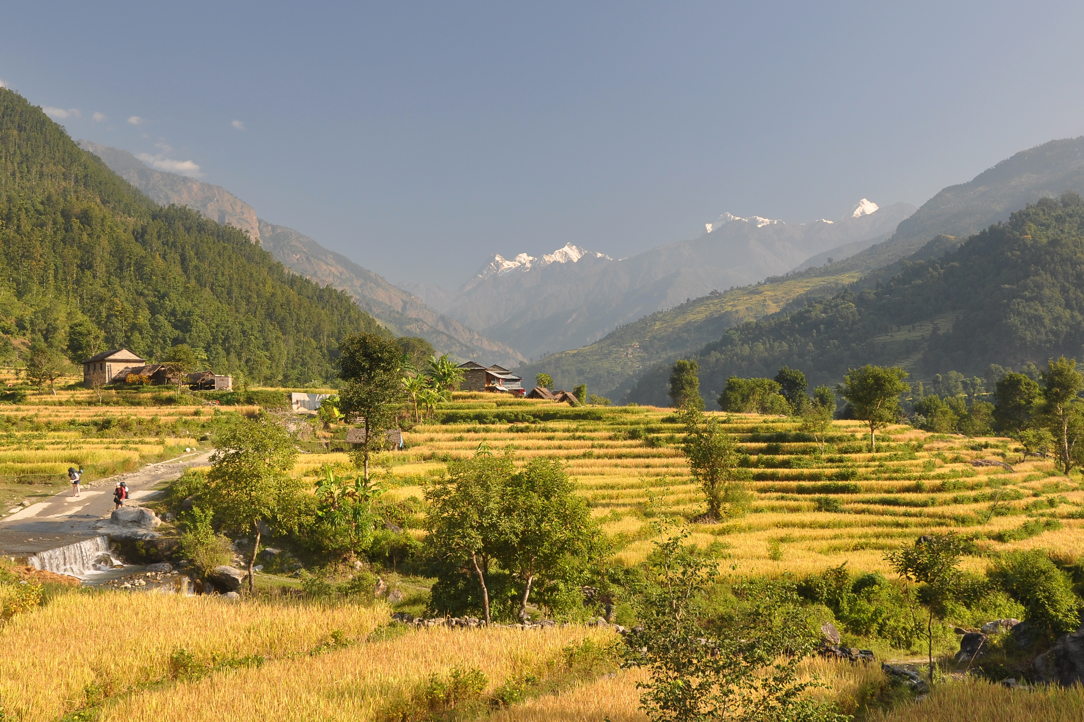 Manaslu Circuit & Larkya La Pass: Mountain of the Spirit Expedition