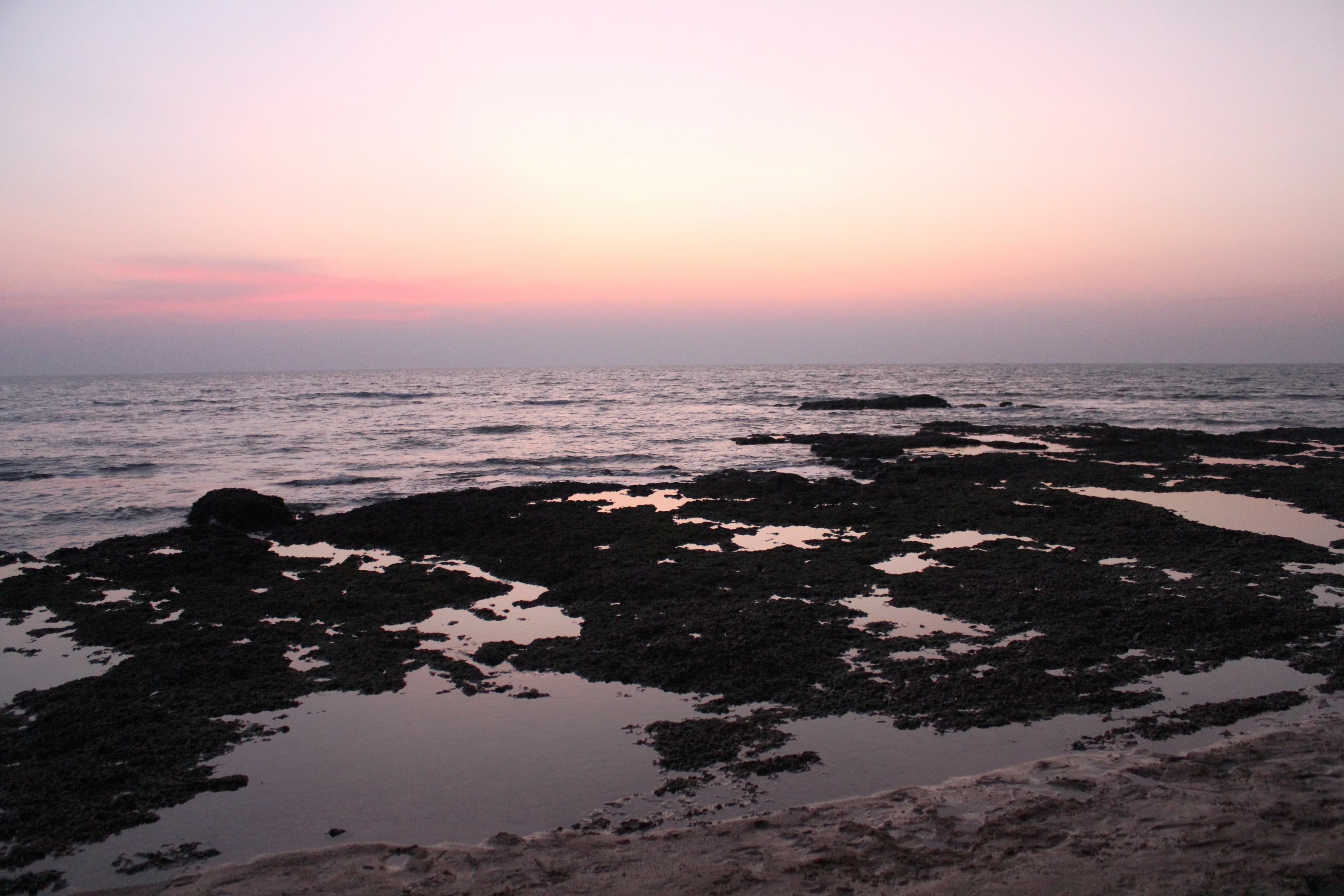 North Goa Sunset Catamaran Sailing & Coastal Nightlife